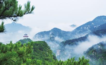 童话世界找不同